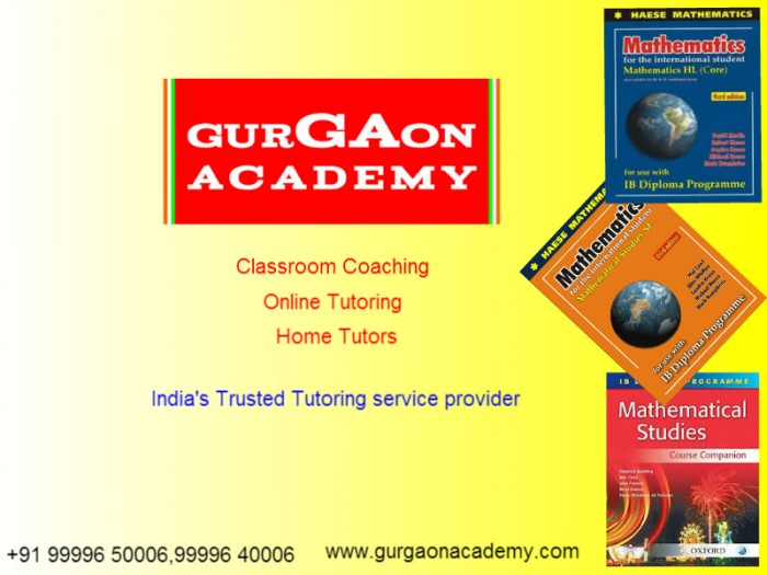 IB Diploma Maths Physics Coaching Institute-Gurgaon Academy